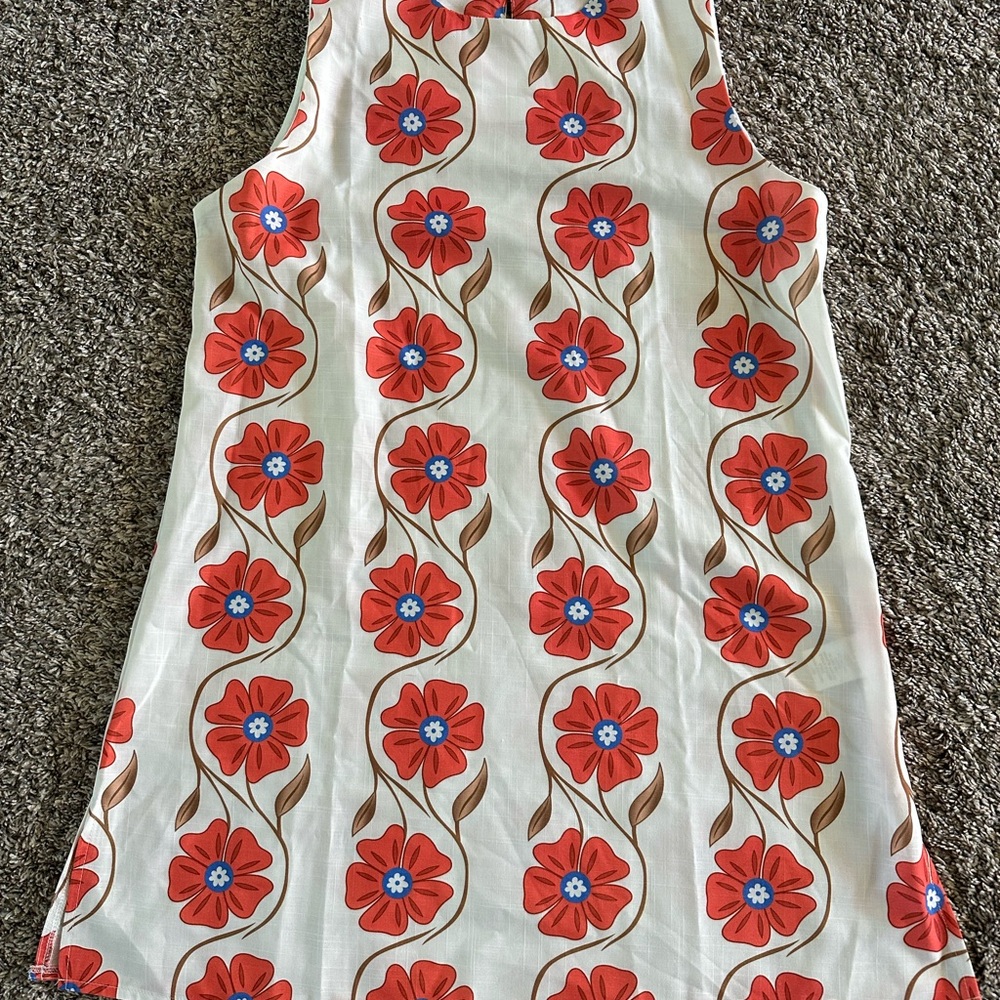 Floral Sleeveless Dress with Red and Blue Flowers